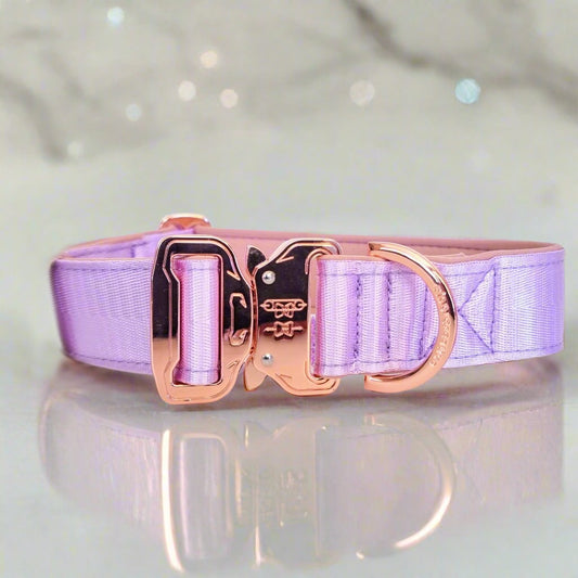 Light purple dog collar