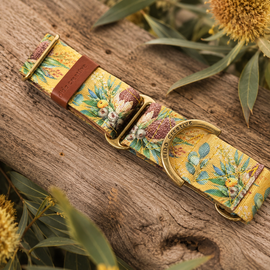 Mustard Banksia Martingale Collar – Australian Native Floral Dog Collar