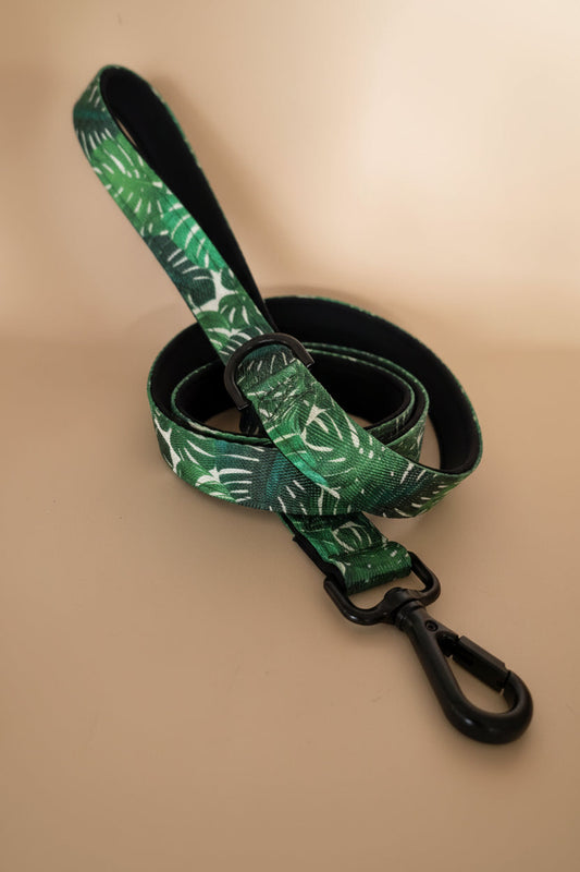 Padded Dog Leash with tropical monstera leaf pattern
