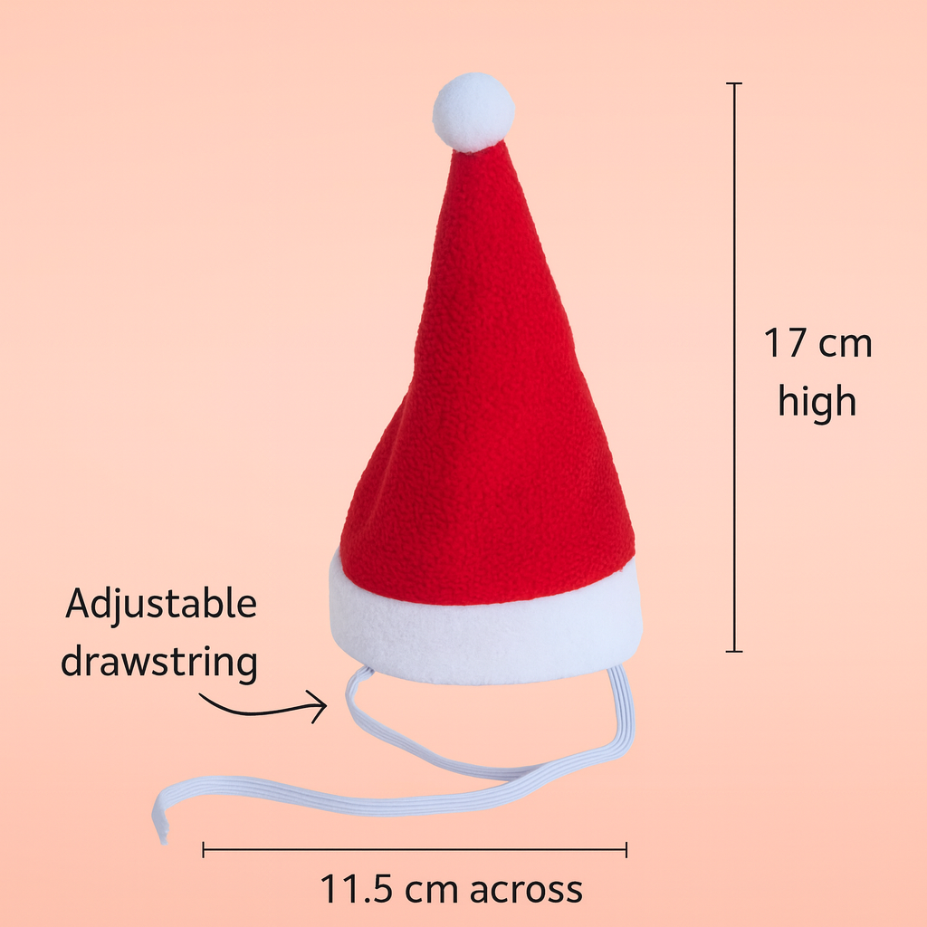 Christmas hat for dogs