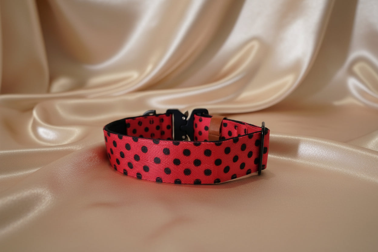 Red dog collar with black polka dots
