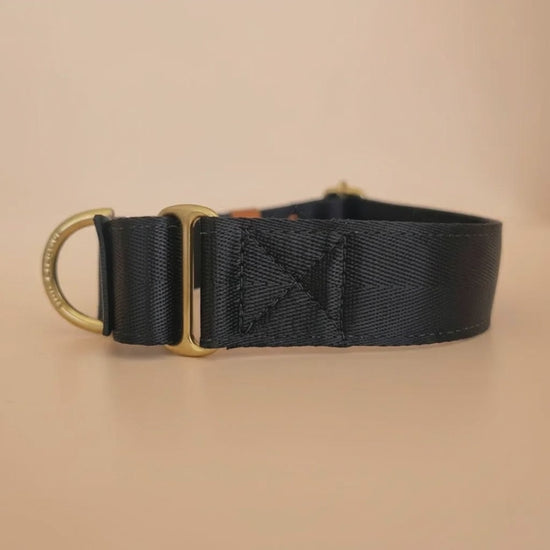 Black martingale collar