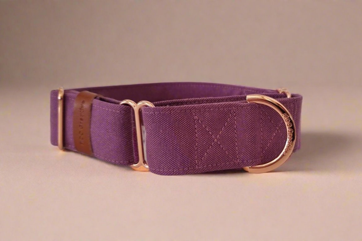 Martingale collar - Passiona Purple - Water resistant