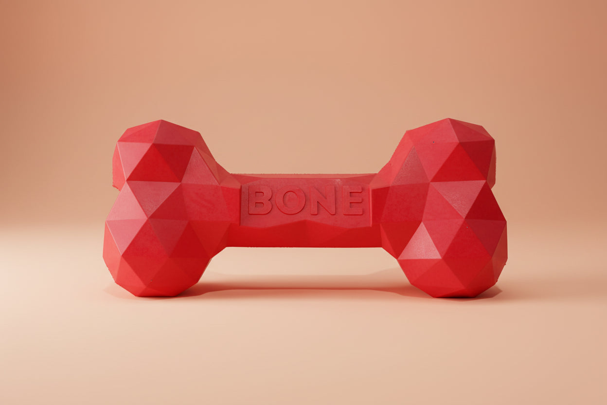 red_Bone_dog_Toy