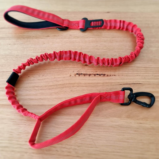 Red Bungee Dog Leash - Reflective - Seatbelt attachment