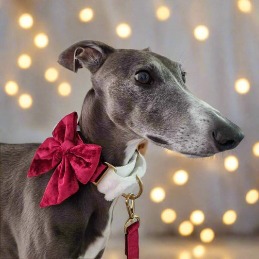 Crushed Red Velvet - Dog Bowtie Christmas