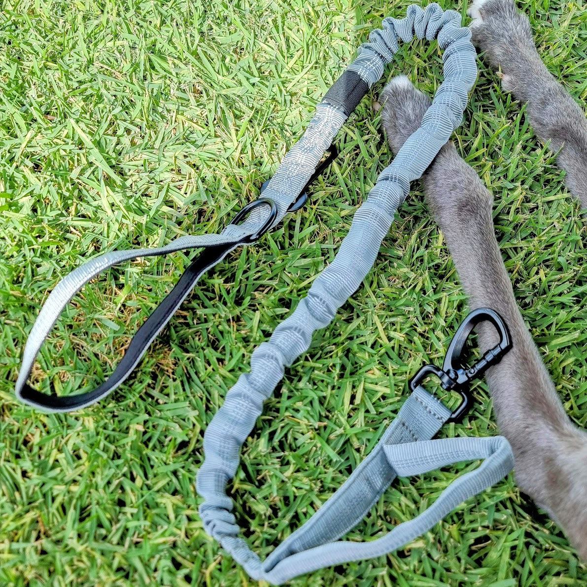 Black Bungee Dog Leash - Reflective - Seatbelt attachment