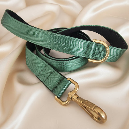 Green dog leash with gold hardware