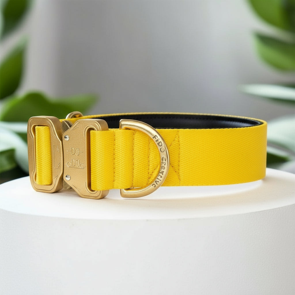 Yellow padded dog collar with buckle - Optional personalisation