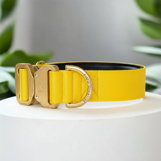 Yellow padded dog collar with buckle - Optional personalisation