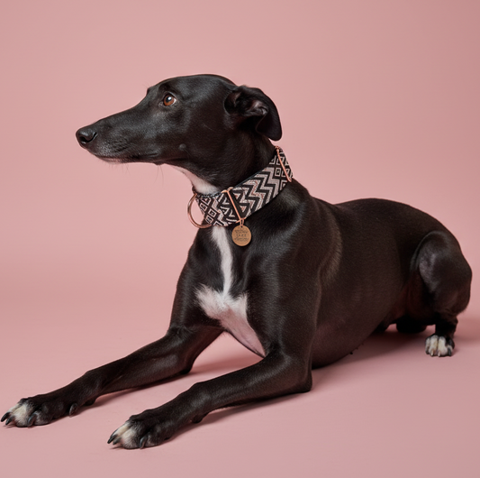 The Midnight Blush Martingale Collar – Padded Black & Pink Jacquard