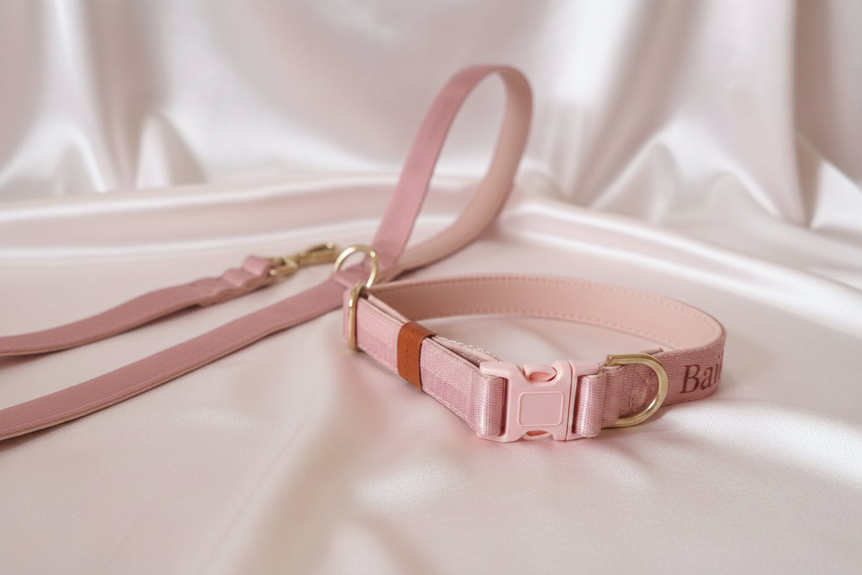 Dusty Pink Dog Collar with Neoprene Padding & Tactical Buckle – Optional personalised Name