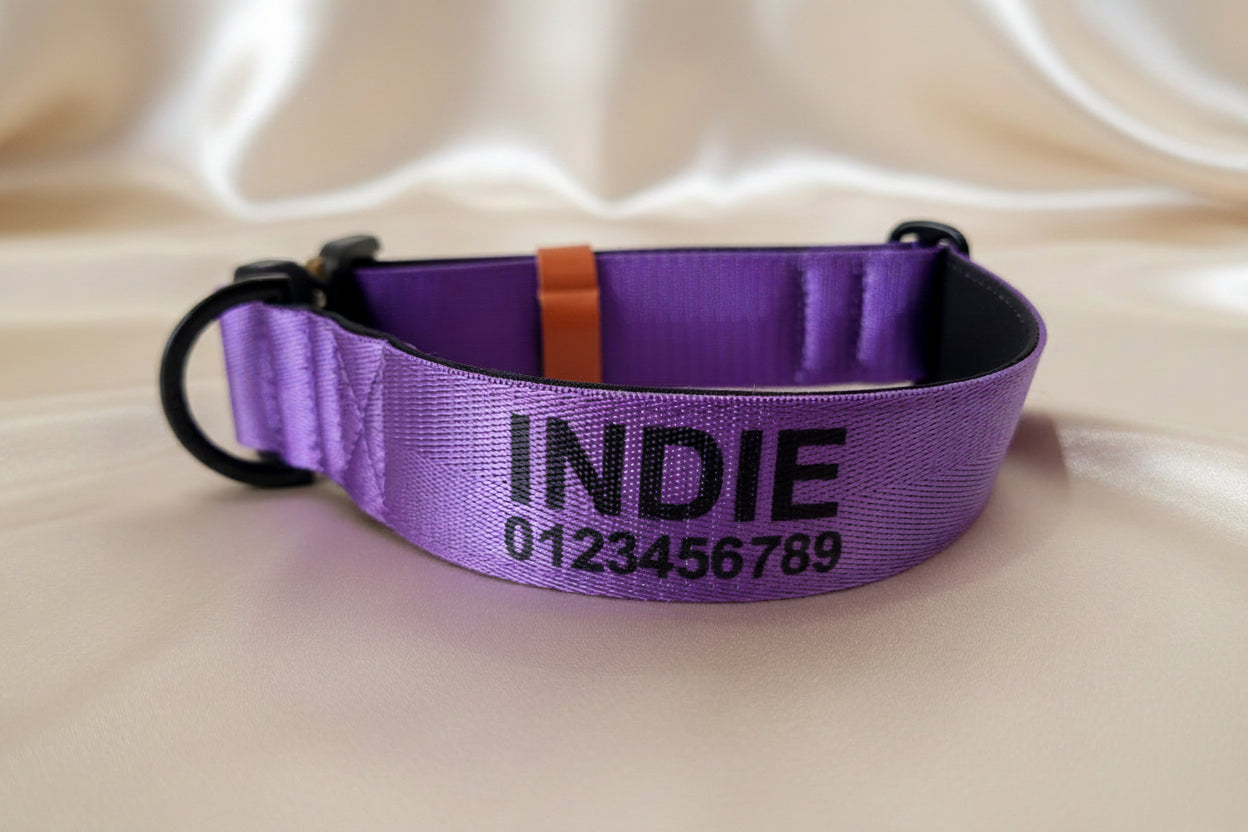 Royal Purple Personalised Dog Collar – Padded Buckle Collar with Optional Name Printing