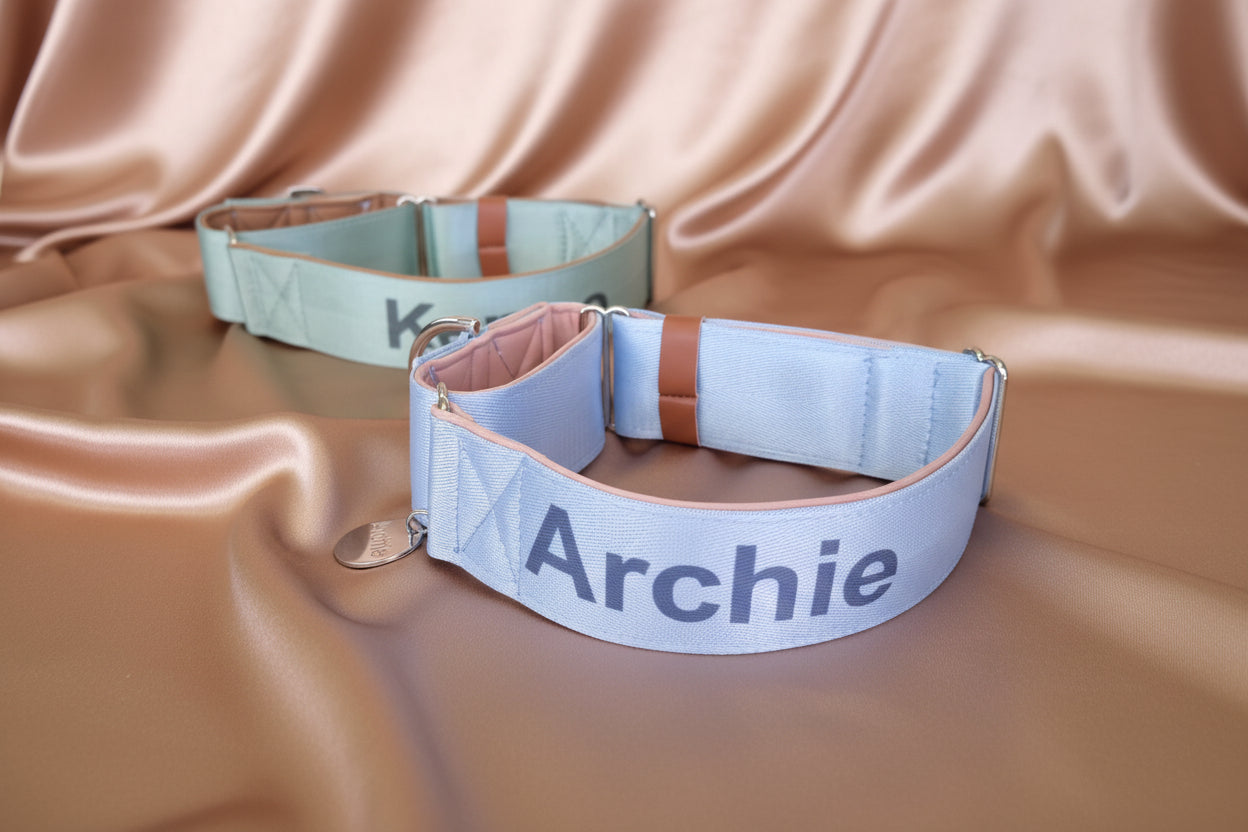Light Blue dog collar with secure tactical buckle padding for