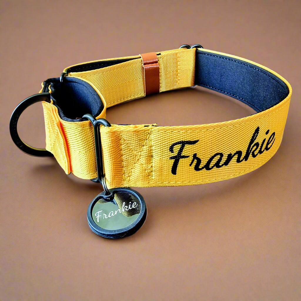 Yellow Martingale Dog Collar – Padded, personalised with Dog’s Name Optional