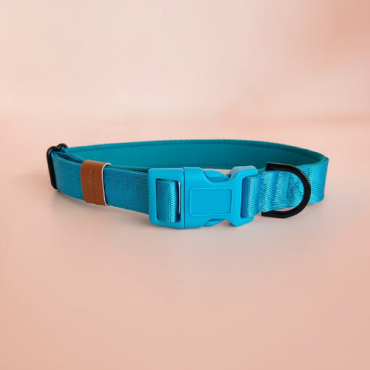 Blue dog collar