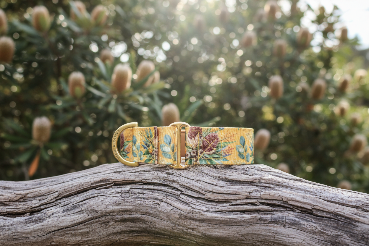 Mustard Banksia Martingale Collar – Australian Native Floral Dog Collar