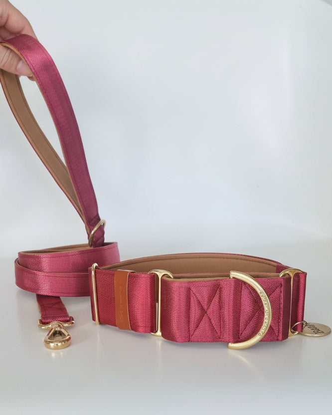 Maroon martingale collar - neoprene padded