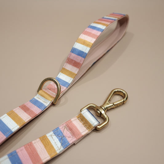 Padded Dog Leash with nude stripe pattern