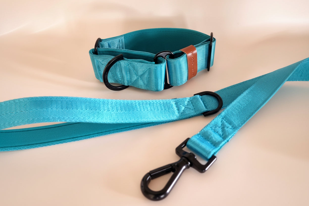 Bright blue Martingale Dog Collar – Padded, personalised with Dog’s Name Optional