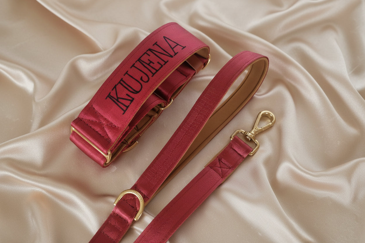 Maroon martingale collar - neoprene padded