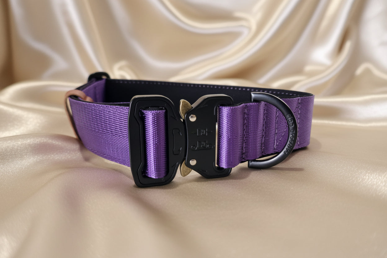 Royal Purple Personalised Dog Collar – Padded Buckle Collar with Optional Name Printing