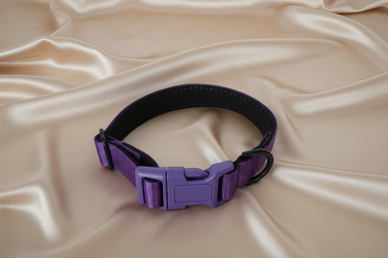 Purple dog collar