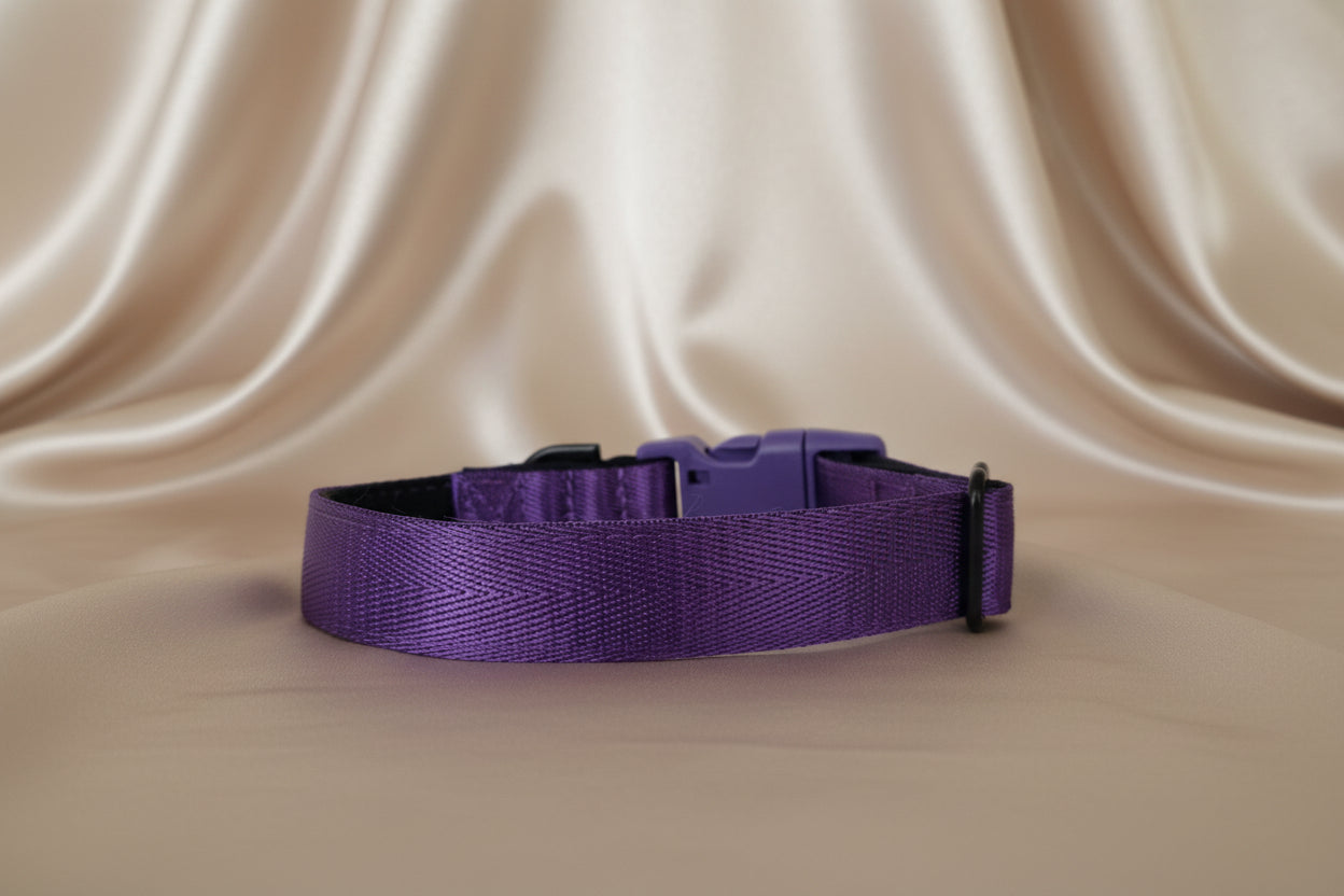 PADDED DOG COLLAR IN PURPLE
