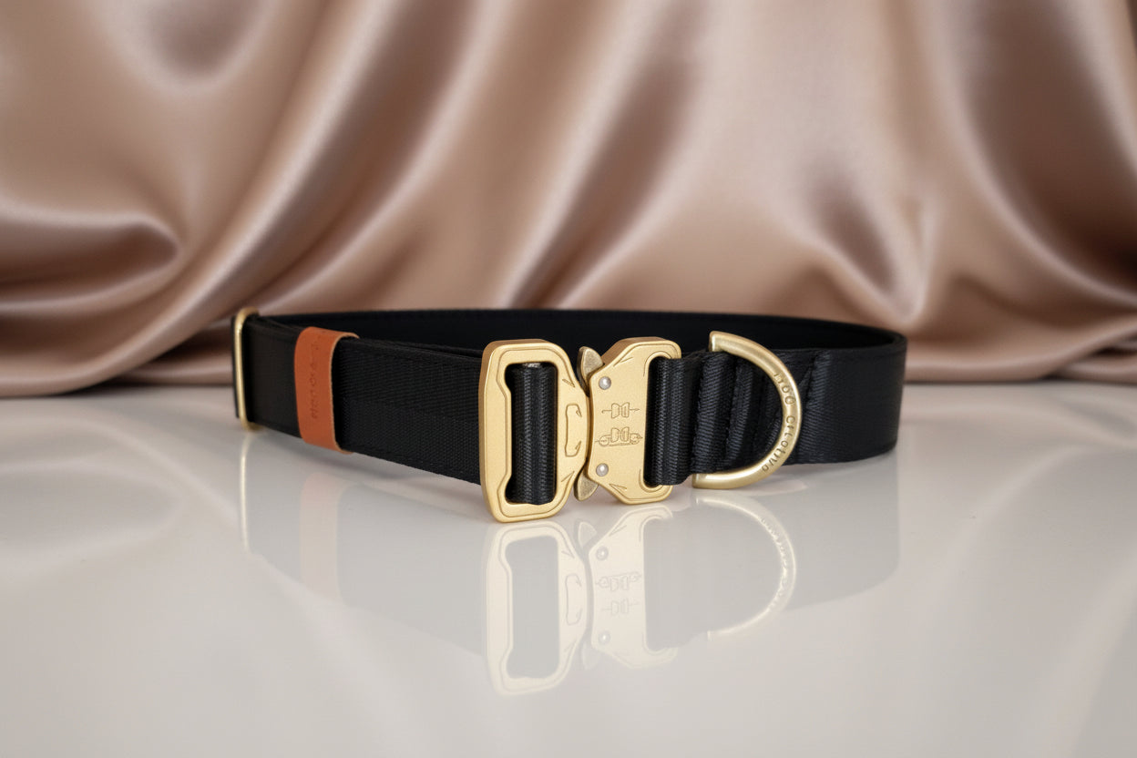 Black dog collar - Padded with your choice of buckle