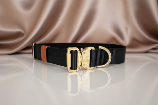 Black dog collar - Padded with your choice of buckle