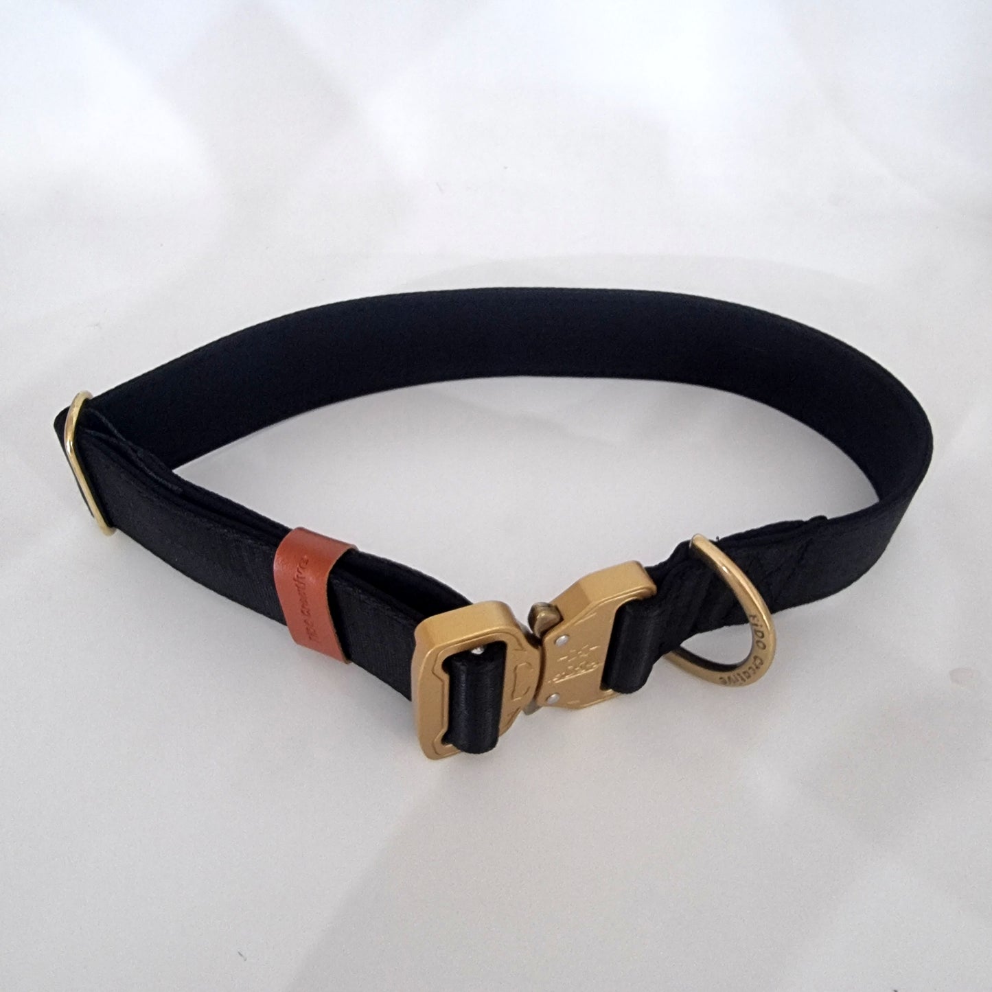 Black dog collar - Padded with your choice of buckle