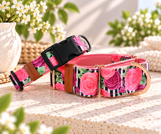 Rose Stripe Dog Collar – Floral buckle dog collar