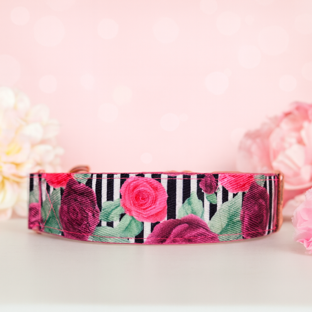Floral dog collar