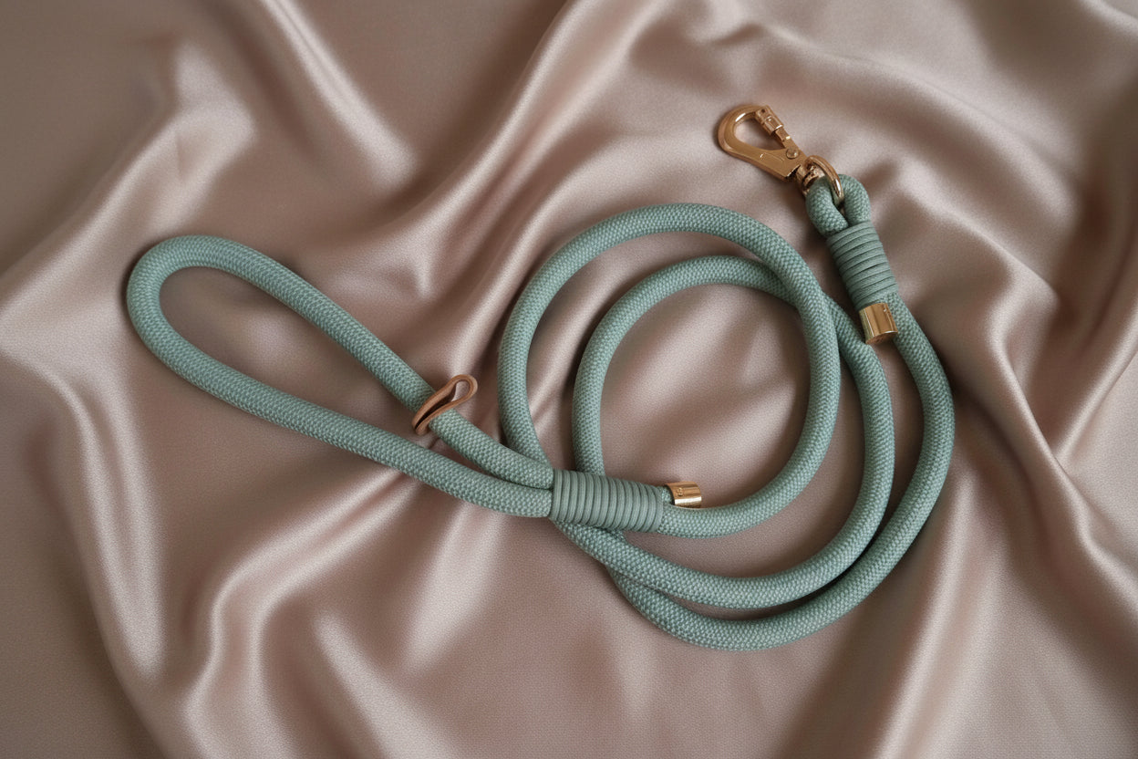 Sage Green and gold rope leash – Fido Creative
