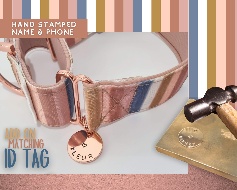 Nude Stripe Martingale collar - Padded