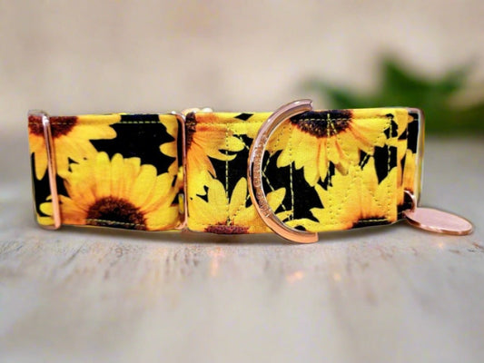 bright sunflower martingale collar