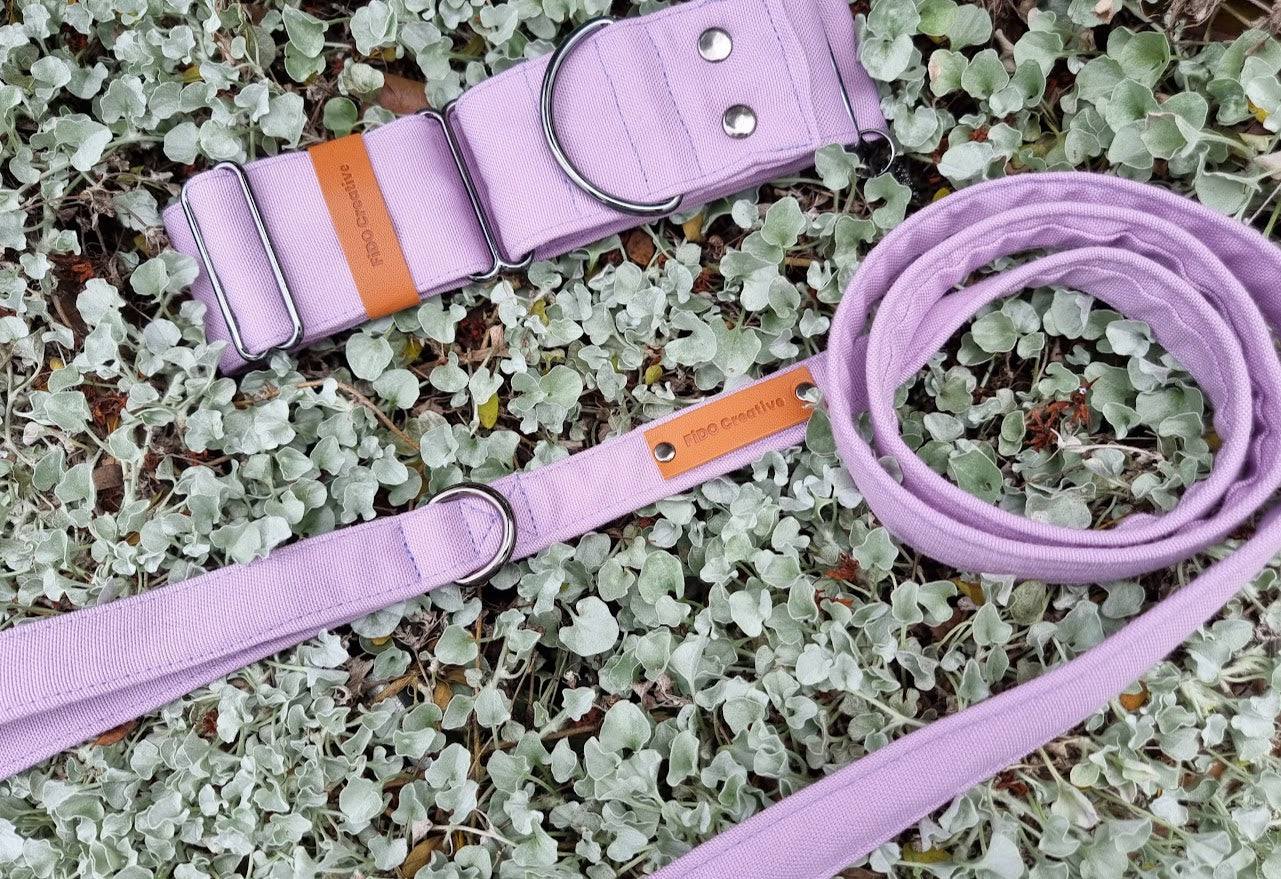 Light purple dog leash collar