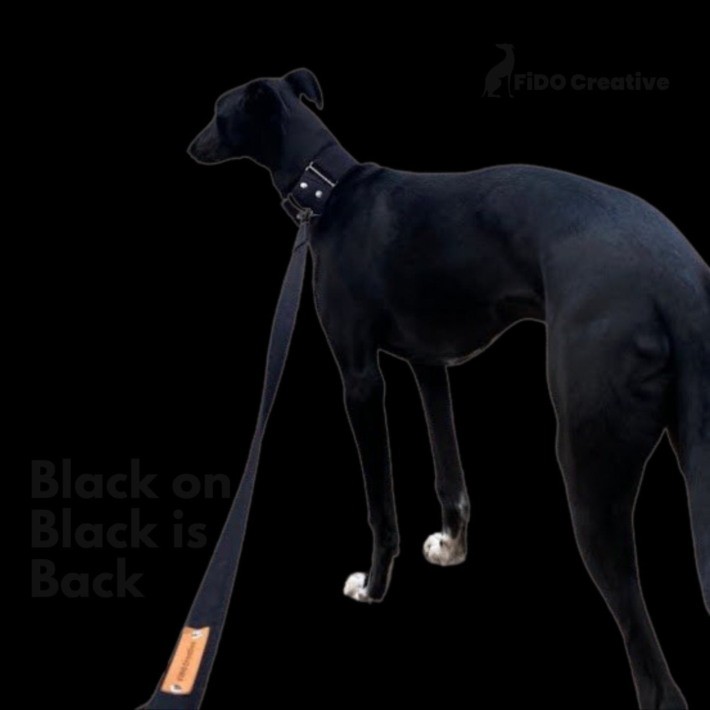 Nior black leash