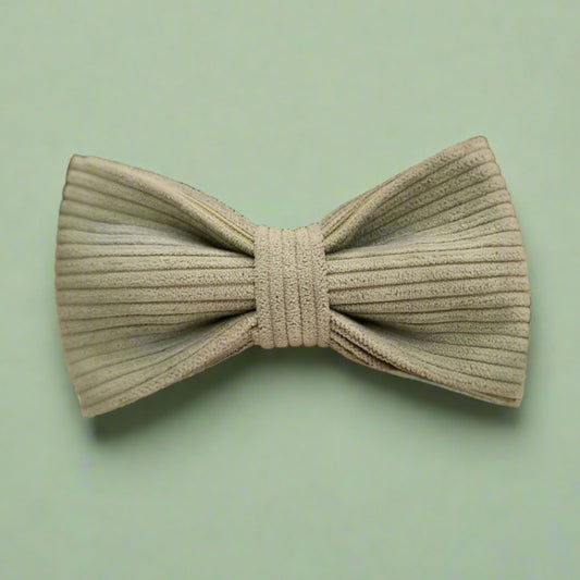 a close up of a flower in a bow tie 