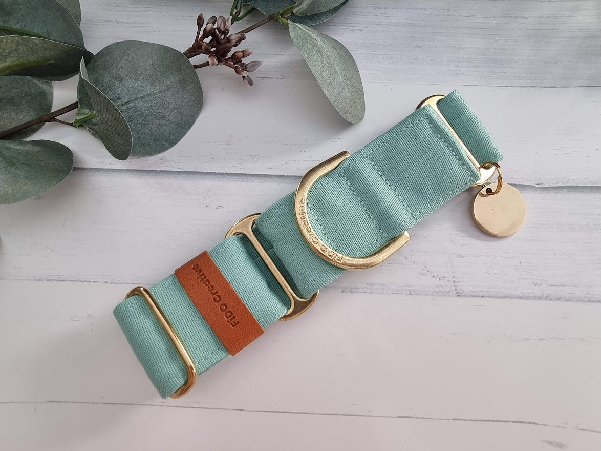 Mint Green martingale collar - Water resistant
