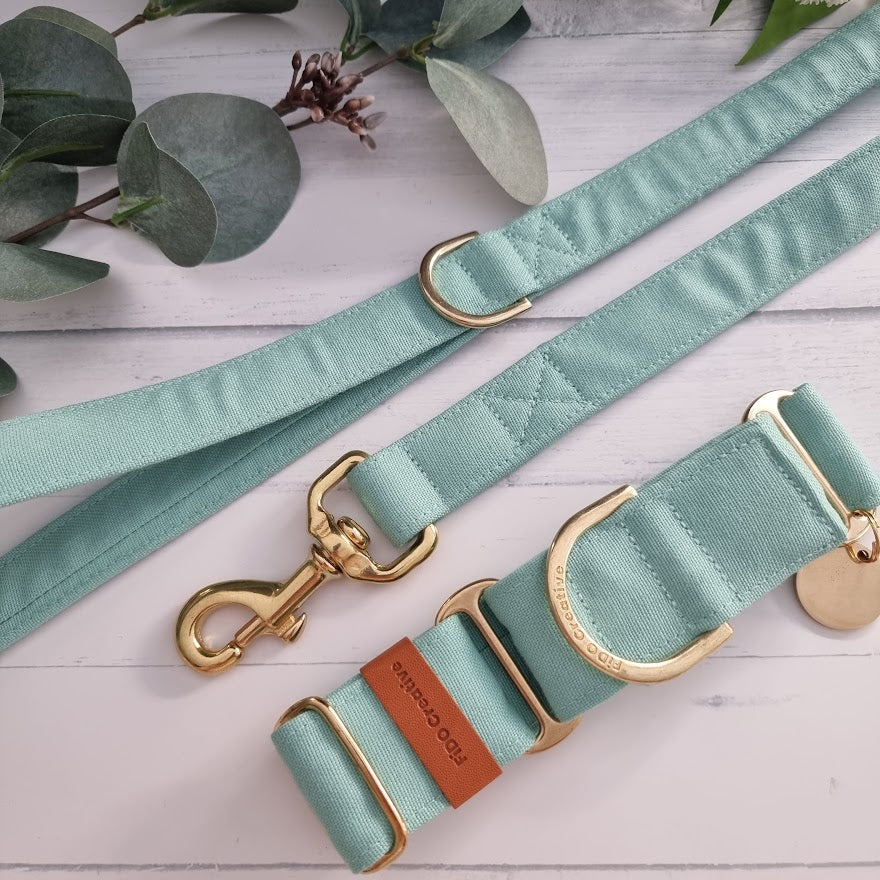 Mint Green martingale collar - Water resistant
