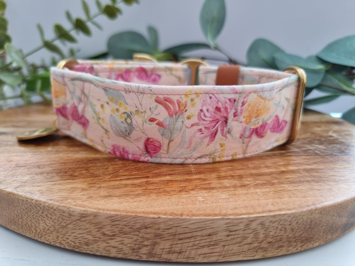 Life's Peachy Australian Native Flower martingale collar - Water resistant